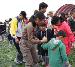 第一屆全國客家福菜節「千人踏鹹菜」活動，吸引許多民眾全家同樂，一起體驗踏鹹菜的樂趣