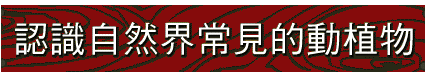 ۵MjDԡAʴӪݡI